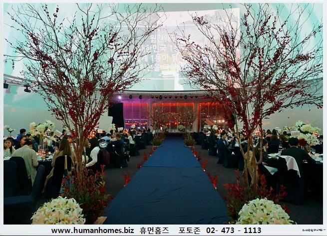 994e2962fcb18e00c8d2b6005781fd2d_1480603