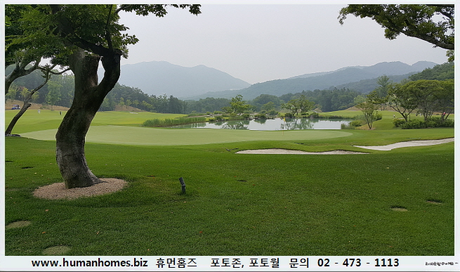 ded438a55cf009d32cbd1d4324453d84_1502329